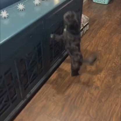 Veyora™ BarkShield